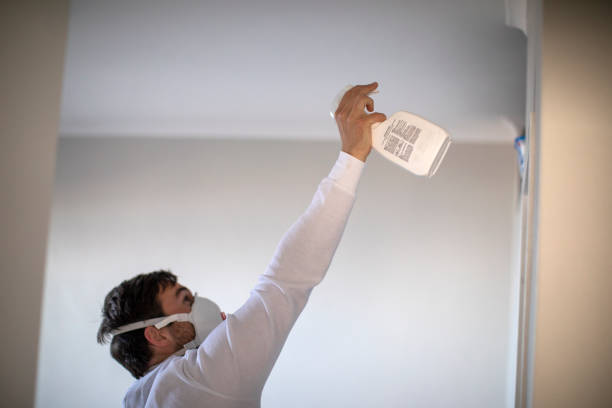 Office Mold Removal Services in Burnsville, MN